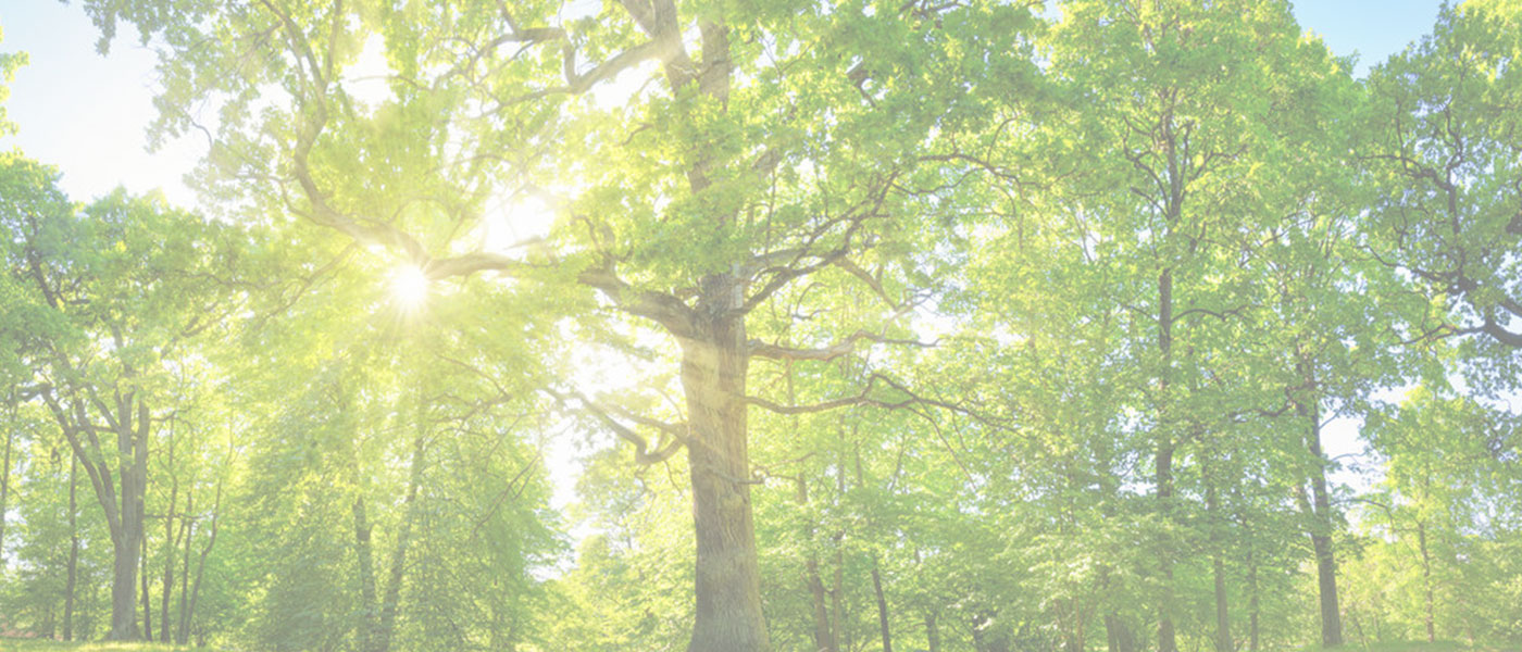 Soluzioni studiati ad hoc per aziende e privati